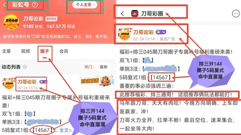 大乐透021期专家质合分析推荐后区胆码：06 07 10