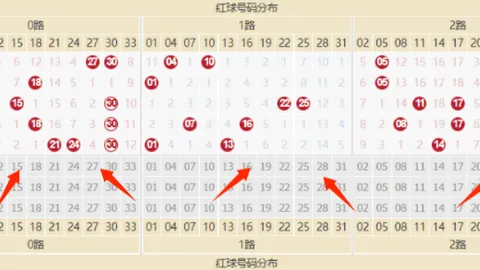 排列三第2026050期小梁质合分析及前区十码推荐